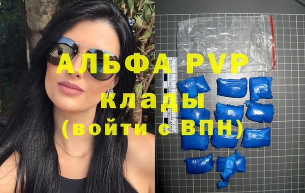 спиды Ладушкин