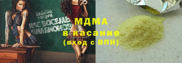 прущие грибы Лабытнанги
