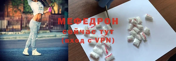 прущие грибы Лабытнанги