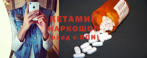 прущие грибы Лабытнанги