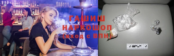 прущие грибы Лабытнанги