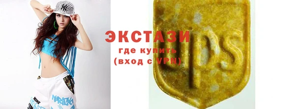 прущие грибы Лабытнанги