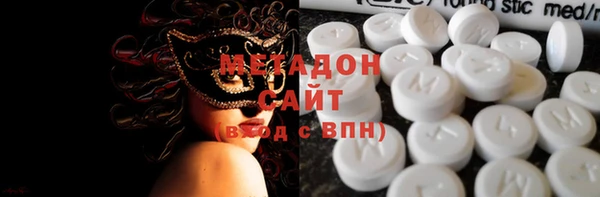 прущие грибы Лабытнанги