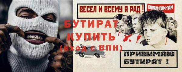 прущие грибы Лабытнанги