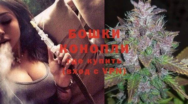 прущие грибы Лабытнанги