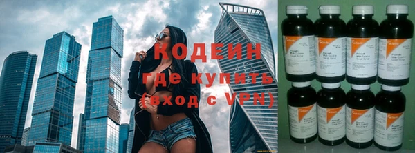 прущие грибы Лабытнанги
