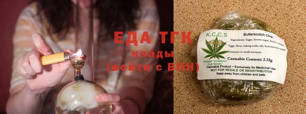 прущие грибы Лабытнанги