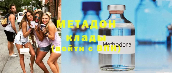 прущие грибы Лабытнанги