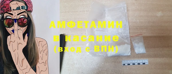 прущие грибы Лабытнанги
