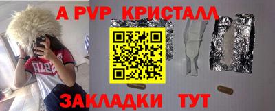 крисы Камышлов