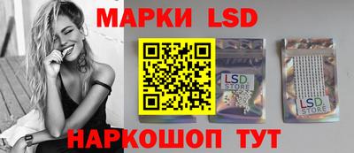 крисы Камышлов