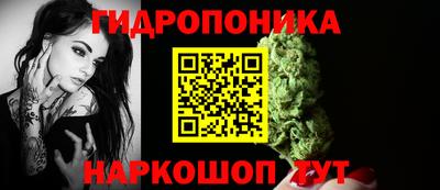 ALPHA PVP Аргун