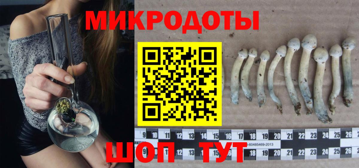 Псилоцибиновые грибы ЛСД Сунжа