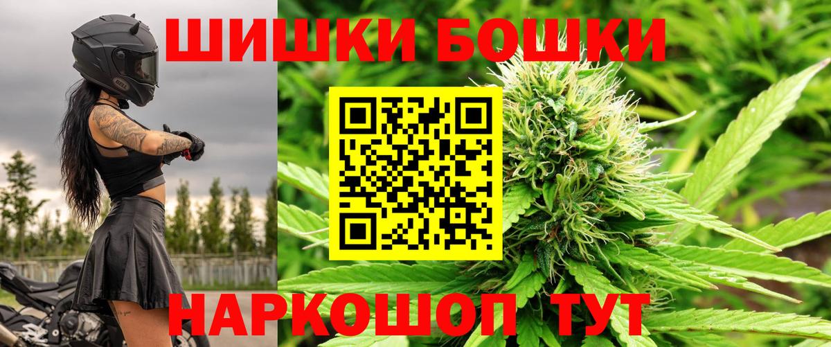 Бошки марихуана сатива Сунжа